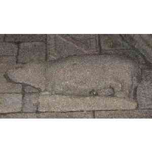 Click para ampliar. Pulsa en el nombre para ver la ficha. Verraco San Francisco (interior 2)- Betanzos